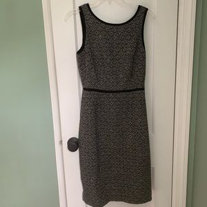 NWT J Crew Factory “Suiting” Line Shift Dress